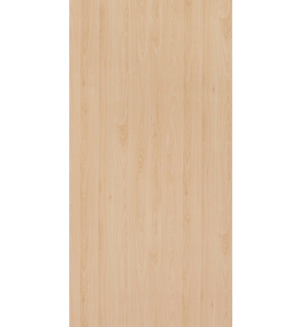 Mangfall Beech