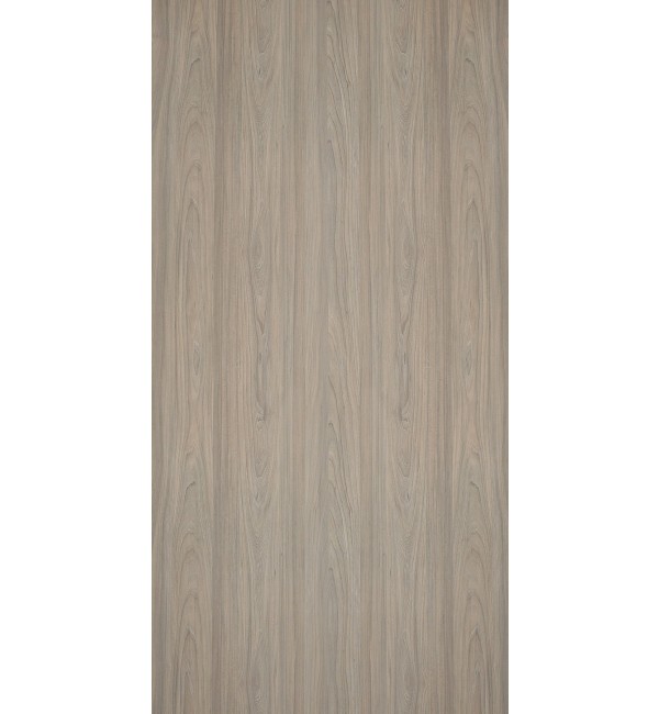 Rosenheim Elm