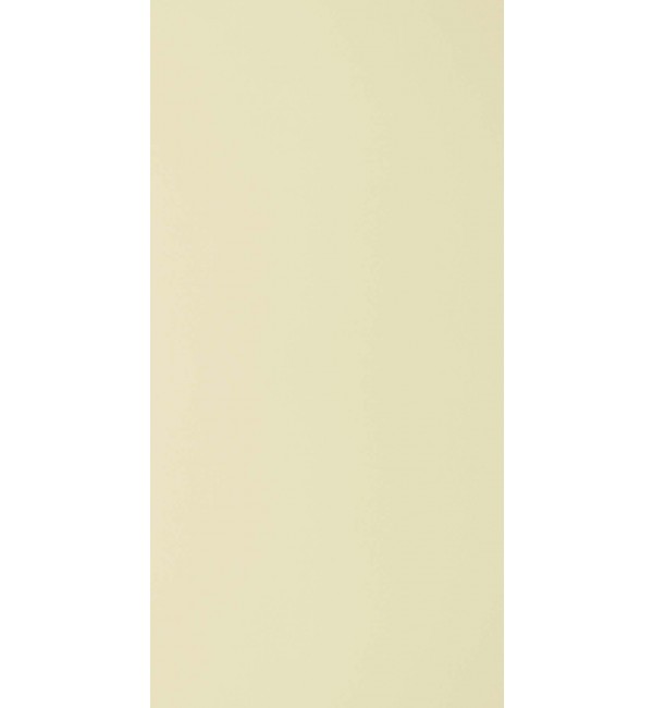 Tidal Sand