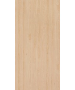 Mangfall Beech
